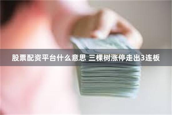 股票配资平台什么意思 三棵树涨停走出3连板