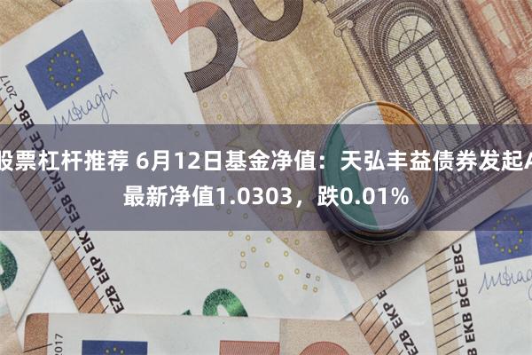 股票杠杆推荐 6月12日基金净值：天弘丰益债券发起A最新净值1.0303，跌0.01%