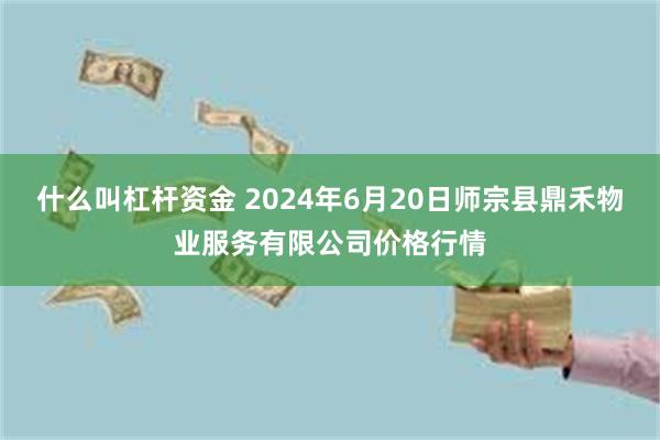 什么叫杠杆资金 2024年6月20日师宗县鼎禾物业服务有限公司价格行情