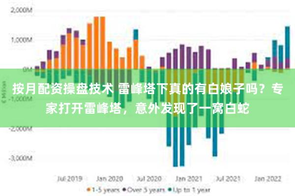 按月配资操盘技术 雷峰塔下真的有白娘子吗？专家打开雷峰塔，意外发现了一窝白蛇