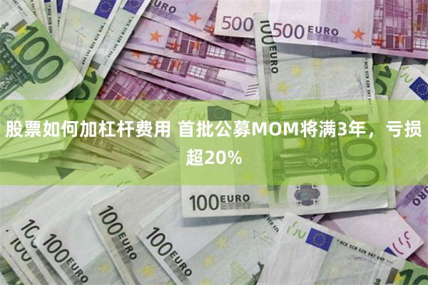 股票如何加杠杆费用 首批公募MOM将满3年，亏损超20%