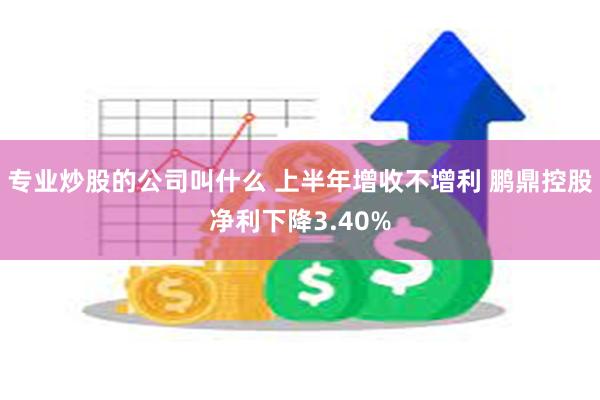 专业炒股的公司叫什么 上半年增收不增利 鹏鼎控股净利下降3.40%