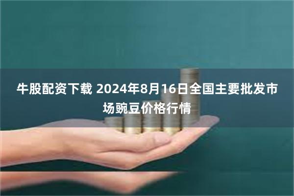 牛股配资下载 2024年8月16日全国主要批发市场豌豆价格行情