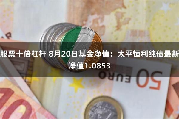 股票十倍杠杆 8月20日基金净值：太平恒利纯债最新净值1.0853