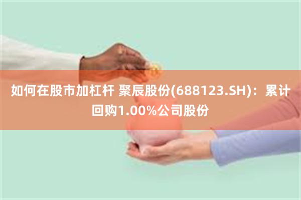 如何在股市加杠杆 聚辰股份(688123.SH)：累计回购1.00%公司股份