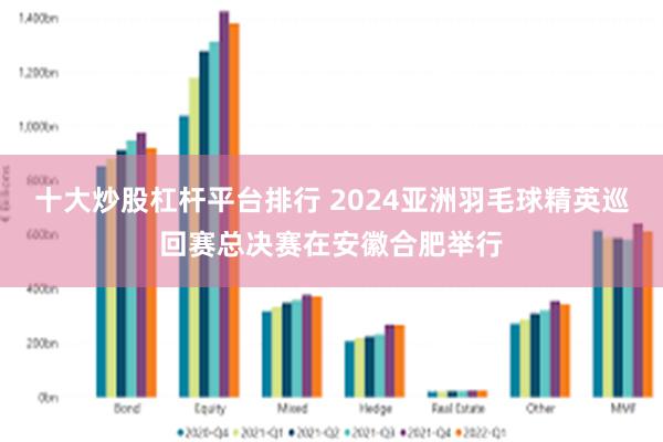 十大炒股杠杆平台排行 2024亚洲羽毛球精英巡回赛总决赛在安徽合肥举行