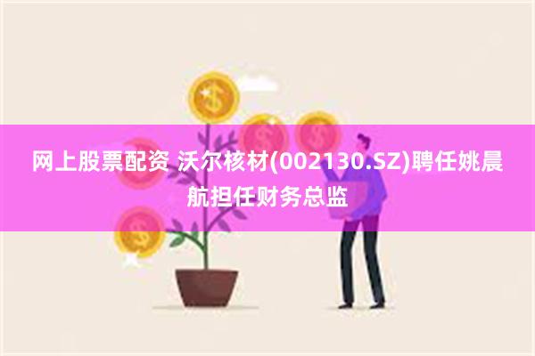 网上股票配资 沃尔核材(002130.SZ)聘任姚晨航担任财务总监